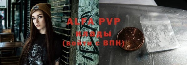 стаф Абаза