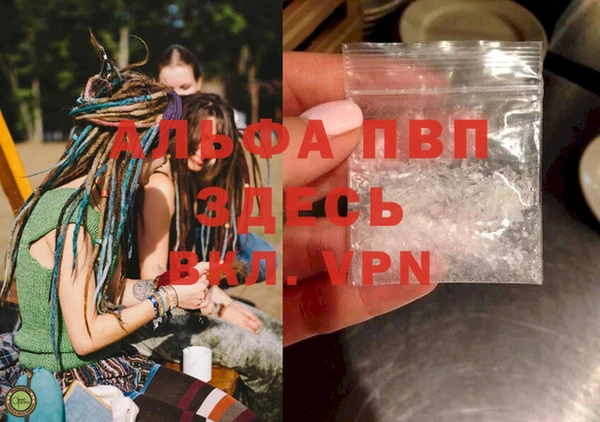 стаф Абаза