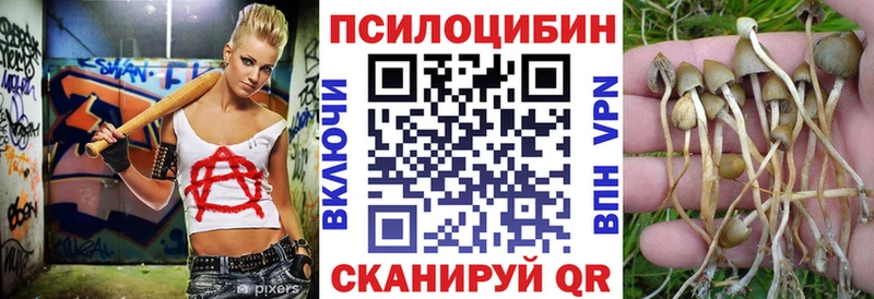kraken ссылки  Александровск-Сахалинский  Галлюциногенные грибы мицелий 